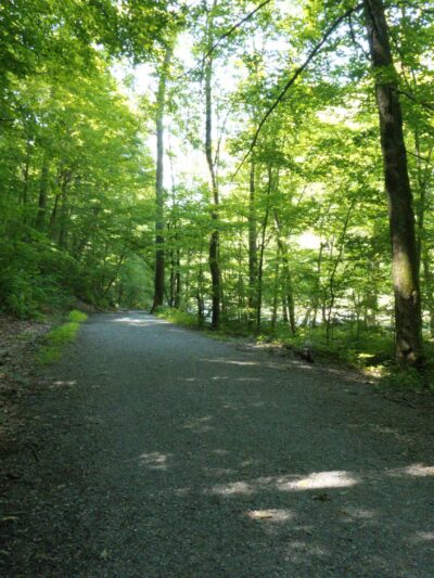Ken Lockwood Park North - Califon, NJ