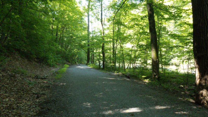 Ken Lockwood Park North - Califon, NJ