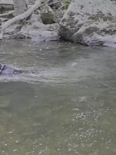 Ken Lockwood Park North - Califon, NJ