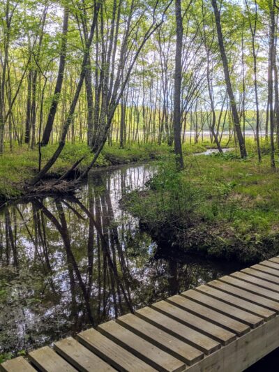 St Marys River Watershed Park - California, MD