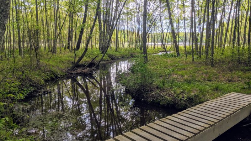 St Marys River Watershed Park - California, MD