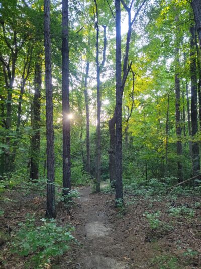St Marys River Watershed Park - California, MD