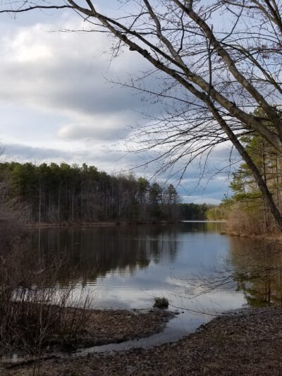St Marys River Watershed Park - California, MD