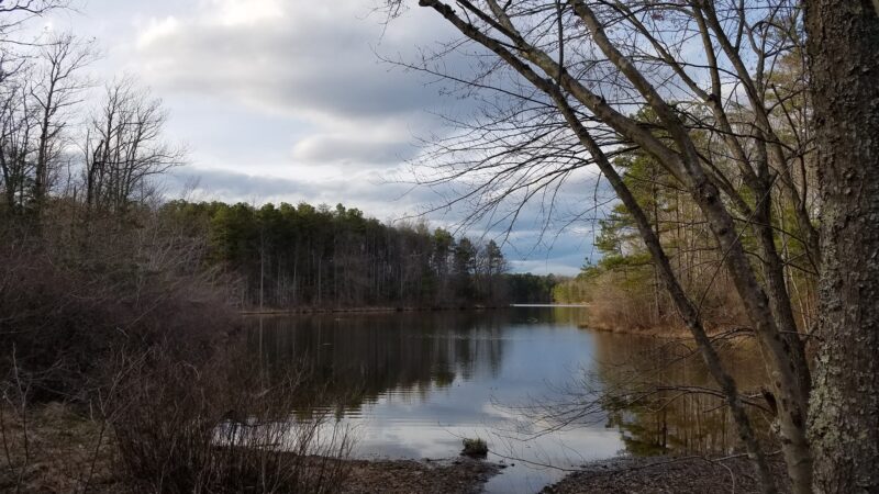 St Marys River Watershed Park - California, MD