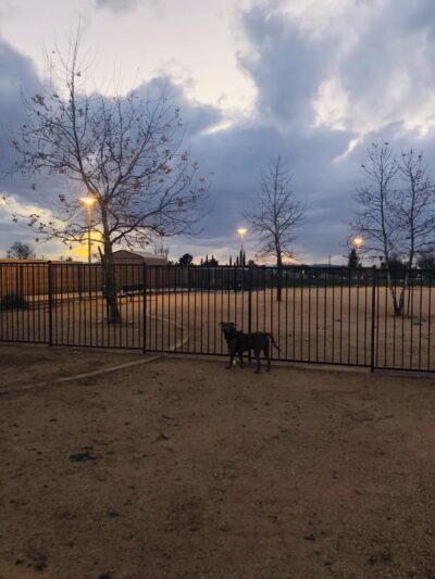 Fourth Street Community Park - Calimesa, CA