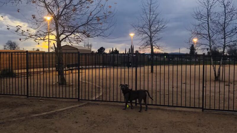 Fourth Street Community Park - Calimesa, CA