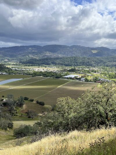 Oat Hill Mine Trailhead - Calistoga, CA