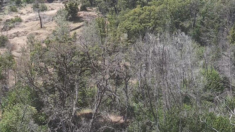 Oat Hill Mine Trailhead - Calistoga, CA