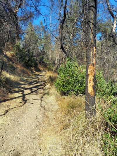 Oat Hill Mine Trailhead - Calistoga, CA