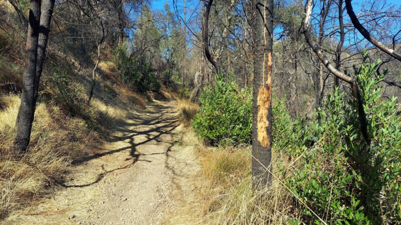 Oat Hill Mine Trailhead - Calistoga, CA