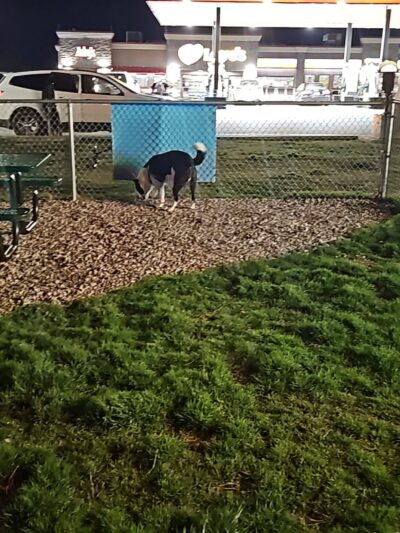 Dog Park at Love's Travel Stops - Calvert City, KY