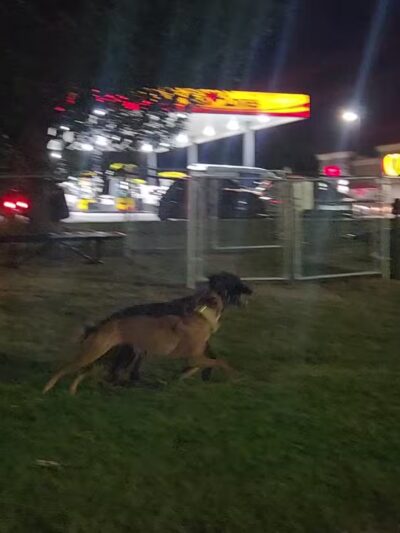 Dog Park at Love's Travel Stops - Calvert City, KY