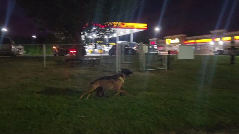 Dog Park at Love's Travel Stops - Calvert City, KY