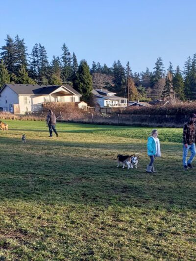 Henry Hollow Dog Park - Camano, WA