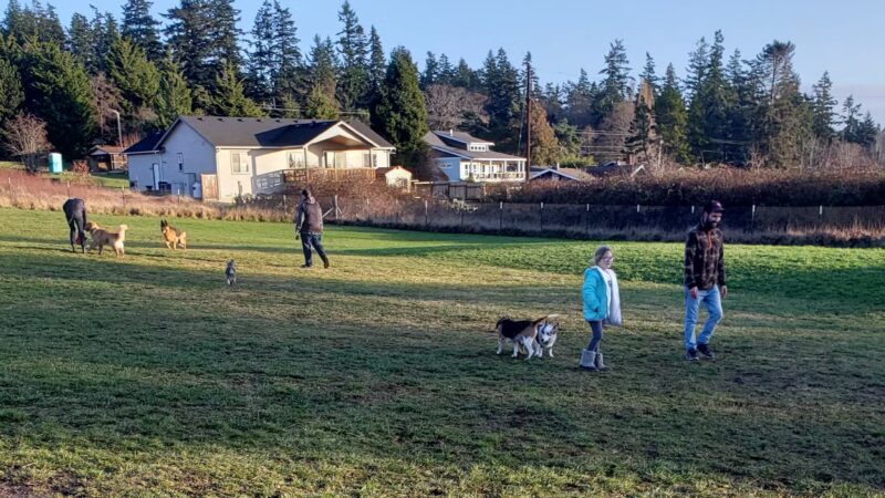 Henry Hollow Dog Park - Camano, WA