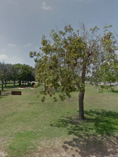 Freedom Dog Park - Camarillo, CA