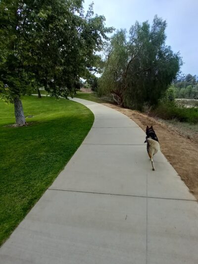 Mission Oaks Dog Park - Camarillo, CA