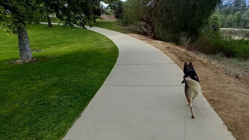 Mission Oaks Dog Park - Camarillo, CA