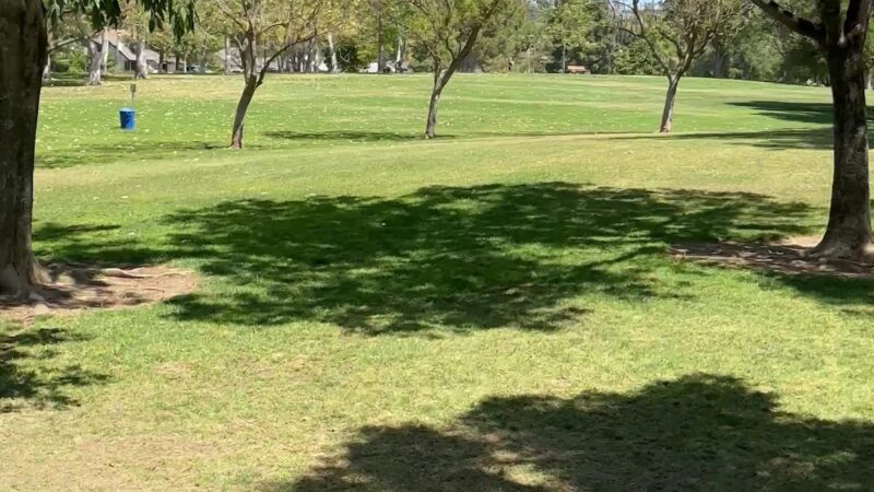 Mission Oaks Dog Park - Camarillo, CA