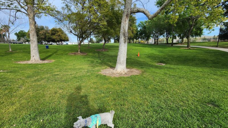 Mission Oaks Dog Park - Camarillo, CA