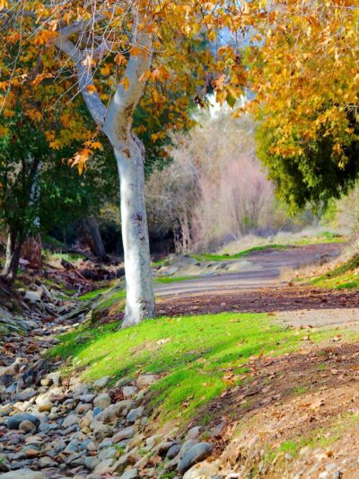 Mission Oaks Park - Camarillo, CA