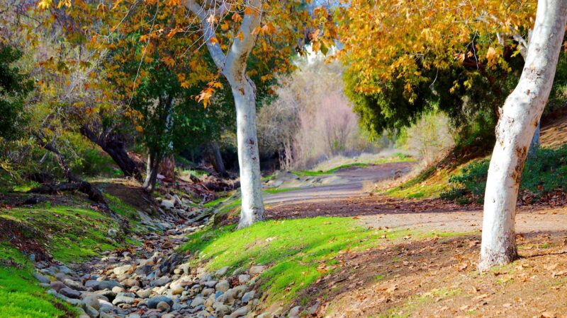 Mission Oaks Park - Camarillo, CA