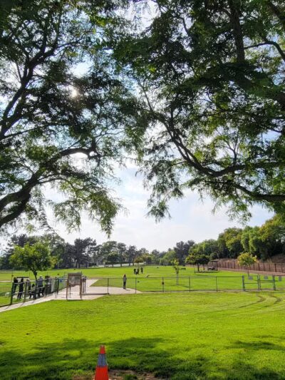 Springville Dog Park - Camarillo, CA