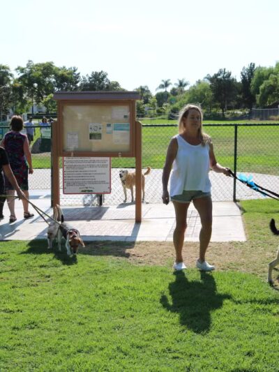 Springville Dog Park - Camarillo, CA