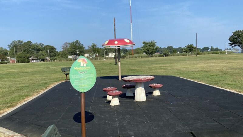 Gerry Boyle Park at Great Marsh - Cambridge, MD