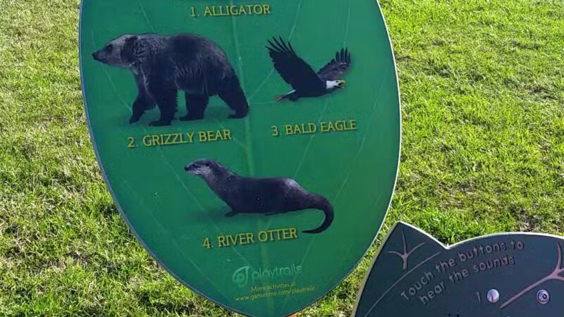 Gerry Boyle Park at Great Marsh - Cambridge, MD