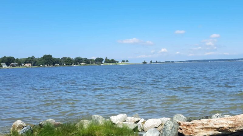 Gerry Boyle Park at Great Marsh - Cambridge, MD