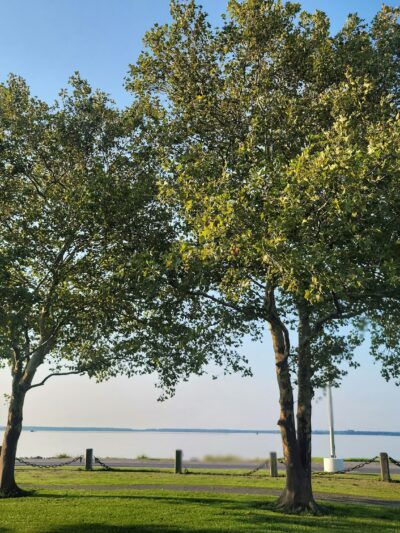 Gerry Boyle Park at Great Marsh Boat Launch - Cambridge, MD
