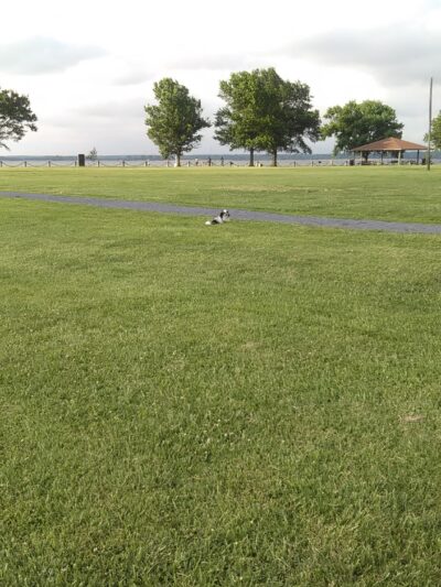 Gerry Boyle Park at Great Marsh Boat Launch - Cambridge, MD