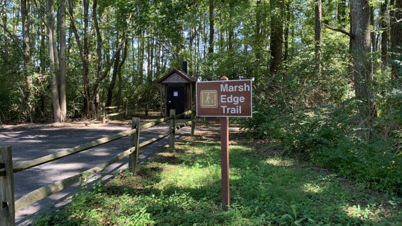 Marsh Edge Trail - Cambridge, MD