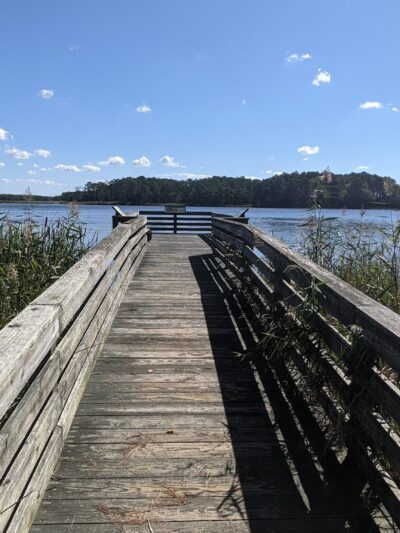 Marsh Edge Trail - Cambridge, MD