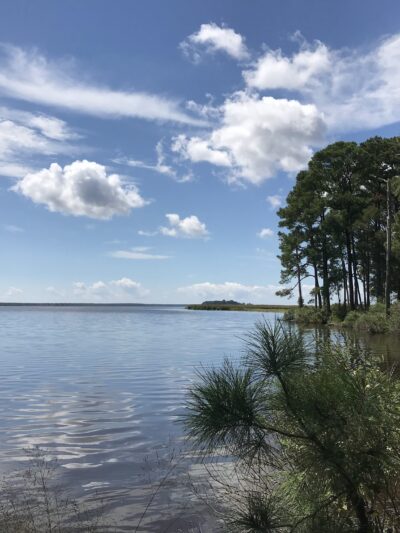 Marsh Edge Trail - Cambridge, MD