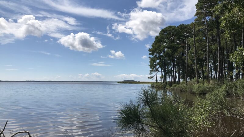 Marsh Edge Trail - Cambridge, MD