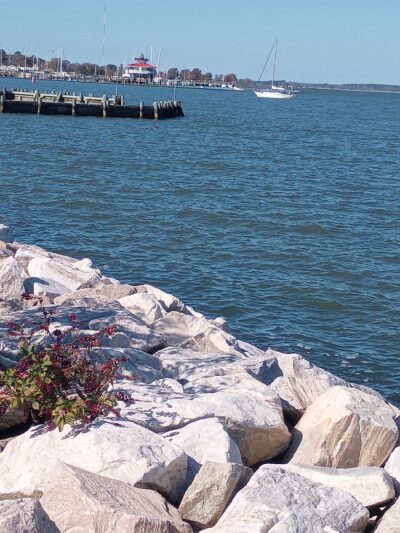 Sailwinds Playground - Cambridge, MD