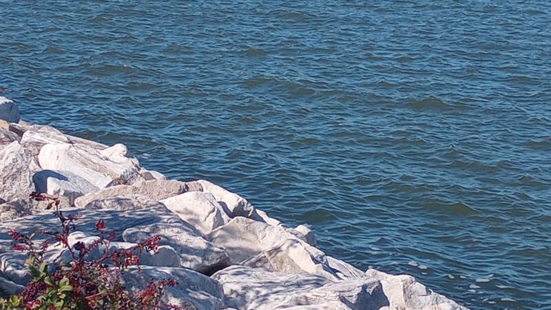Sailwinds Playground - Cambridge, MD