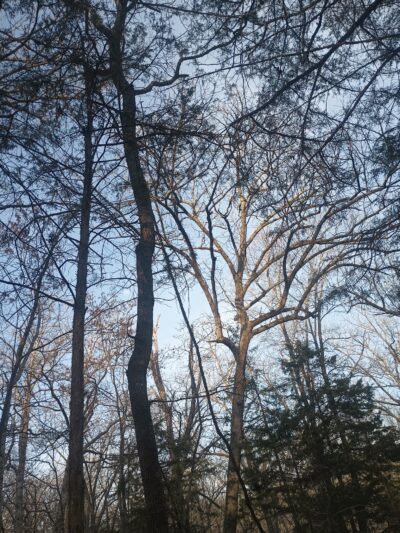 Camdenton Park - Camdenton, MO