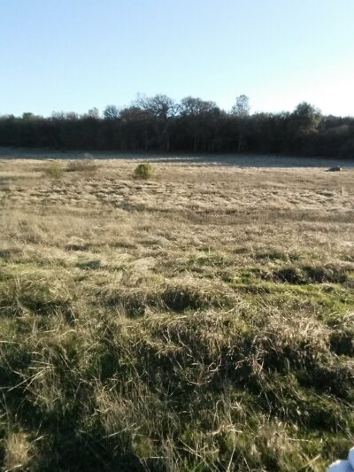 Rasmussen Pond - Cameron Park, CA