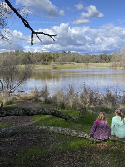 Rasmussen Pond - Cameron Park, CA