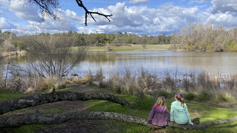 Rasmussen Pond - Cameron Park, CA