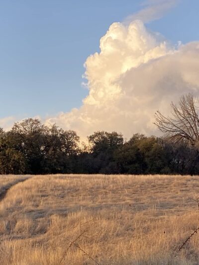 Rasmussen Pond - Cameron Park, CA