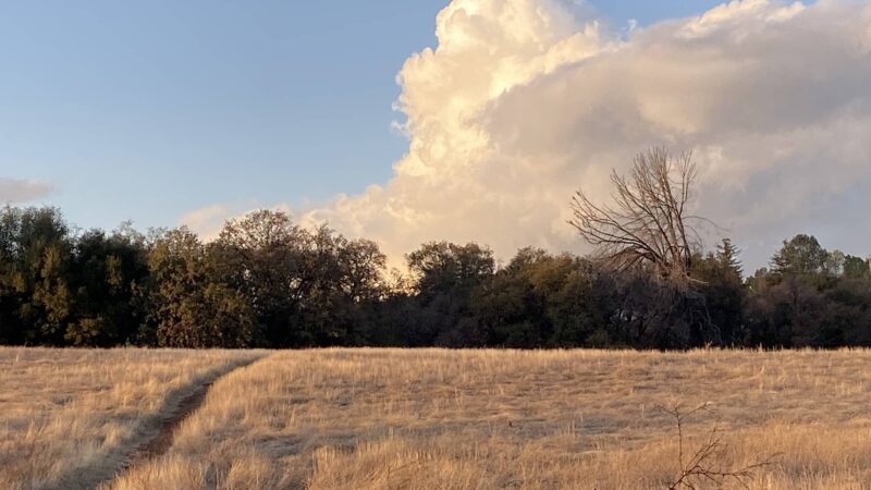 Rasmussen Pond - Cameron Park, CA