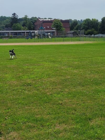 Munro Park - Camillus, NY