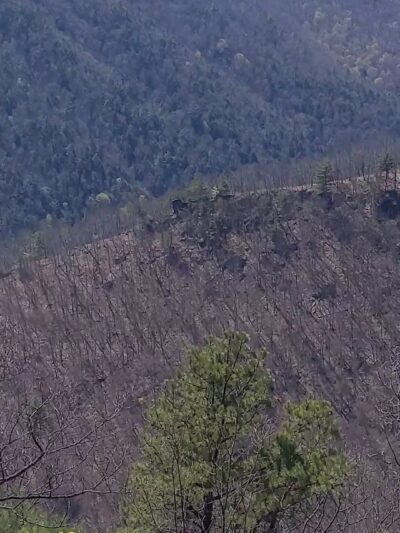 Golden Eagle Trail - Cammal, PA