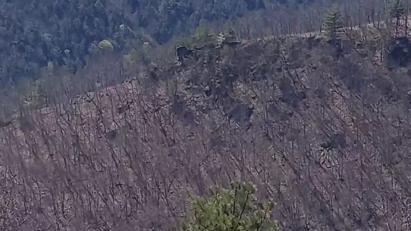 Golden Eagle Trail - Cammal, PA