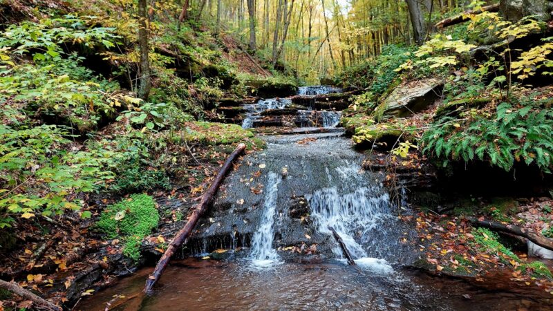 Golden Eagle Trail - Cammal, PA