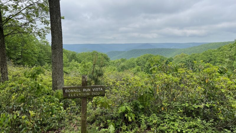 Golden Eagle Trail - Cammal, PA